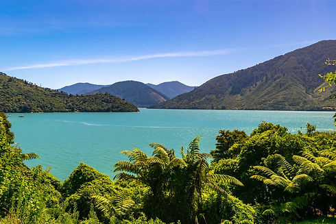 Marlborough Sounds Maintenance