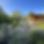 ed515395-e894-4562-b368-35e177f32437.png