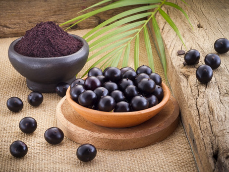 Deseja exportar açaí?