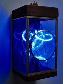 LED neon filament roots, brass details with reclaimed wood , lens fine art