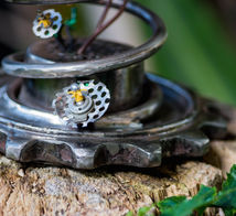 Sprig Spring