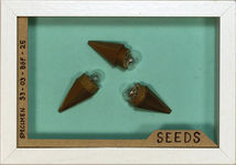 small otherworldly seeds made from bamboo and light bulbs 4x6 white frame