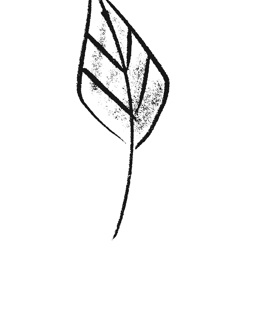 Untitled_Artwork 26.gif