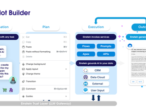 Einstein Copilot Standard and Custom Actions