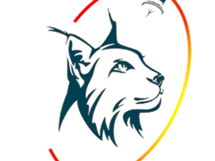 Programa Tecnológico Espacial (PTE) LINCE