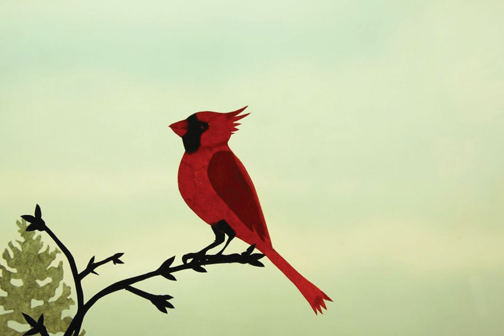 The Cardinal