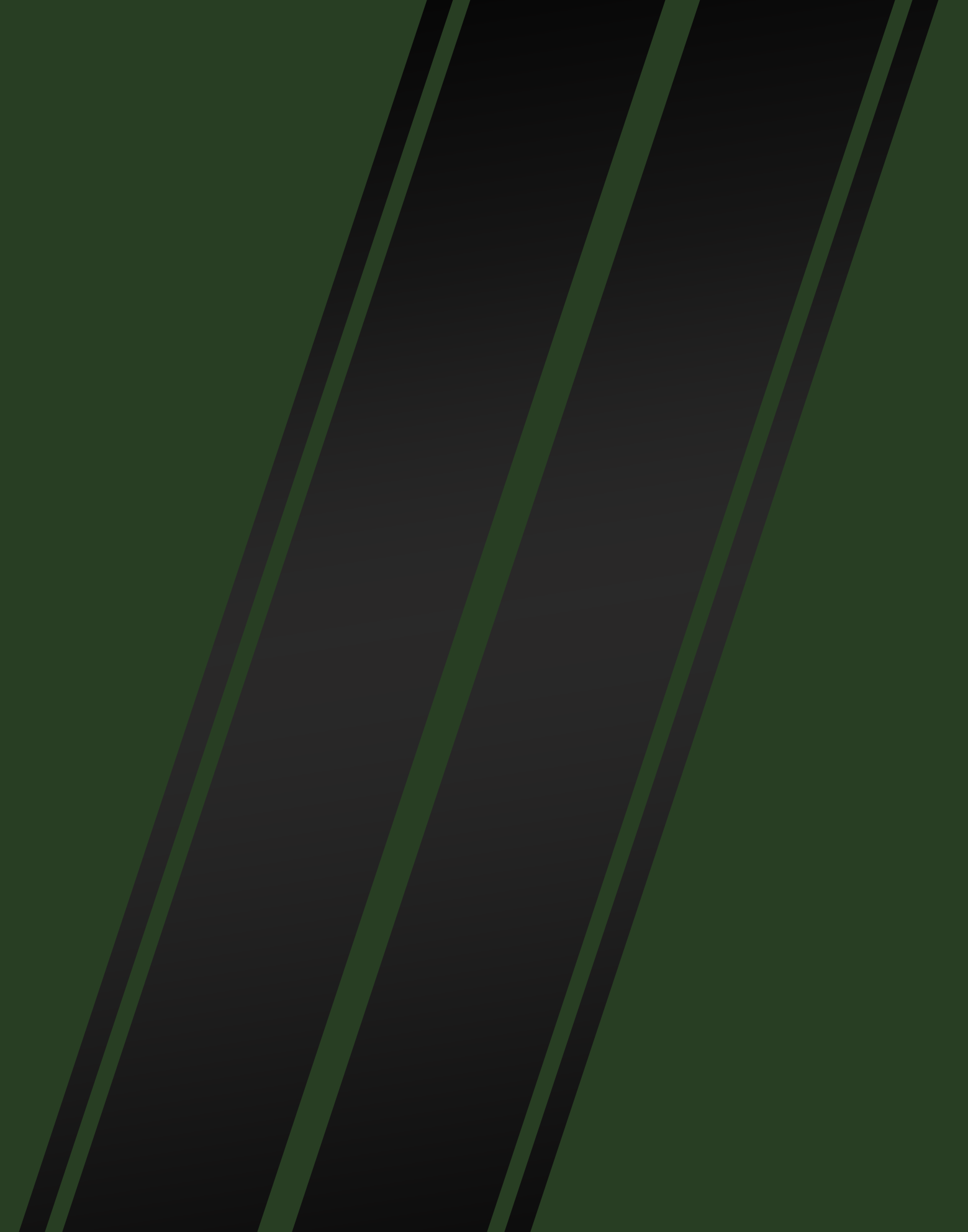 FranjasFondoparawebverde2.gif