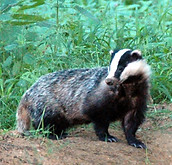 DSC_0190 - Version 2.jpg