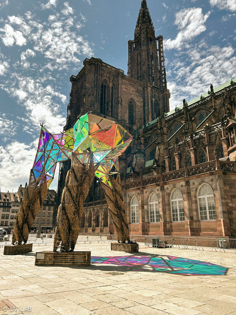 Nemus By UV LAB in Strasbourg