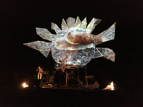 Autumn Sonata UV LAB