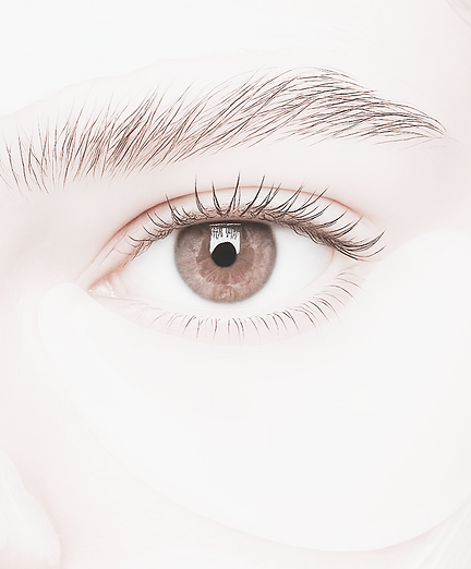 Screenshot 2025-08-01 at 19.25.09 - Edited - Edited.png