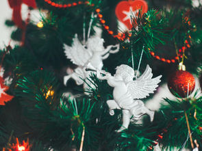 Célébrations de Noel