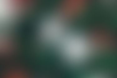 Célébrations de Noel 