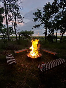 Edisto 5.JPG