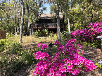 Edisto 4.jpg