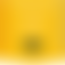 Market Insight Series - July 2024