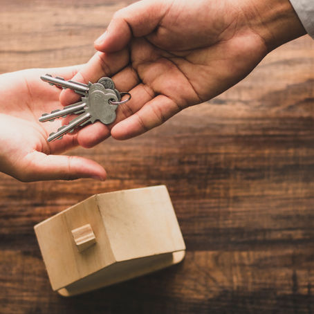 Navigating the Real Estate Jungle: Your Ultimate Guide to Finding the Perfect Realtor
