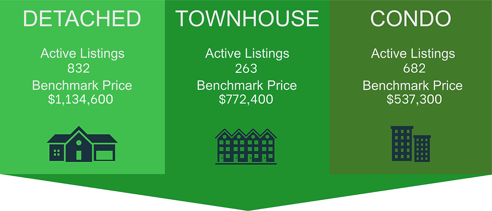 Market Insight Series - February 2026