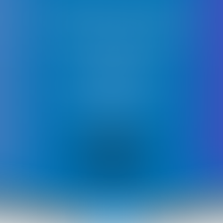 Market Insight Series - December 2022