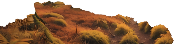 lonely grass.png