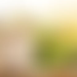 Cómo administrar tu economía en 9 pasos