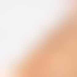 ¿Cómo organizarte el trabajo? 🤓