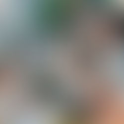 ¿Tienes todo lo que se necesita? Actitud para buscar empleo en MiSolicitud