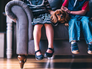 ¿Por qué todos los niños deberían de crecer con una mascota a su lado?