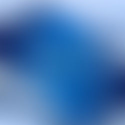 La importancia de las redes sociales para un negocio