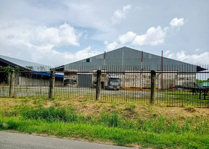 In deze loods nabij het hoofdkantoor van Staatsolie in de wijk Flora lag vijf jaar geleden nog een enorm grote voorraad ammoniumnitraat van goudproducent Newmont opgeslagen.