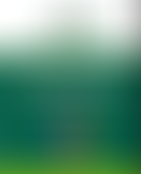 Stratégie RSE GMA :
Plan d’actions concrètes à confirmer !