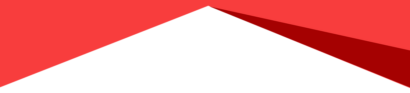 banner rojo ner.png