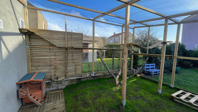 pension pour chats catio Nantes