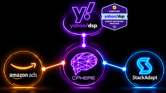 Multi-DSP Connectivity Network.png