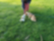 IMG20221020184807.jpg