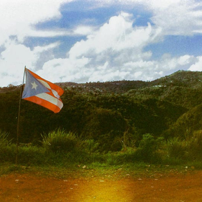 Field Note 02 - Landscapes on Film