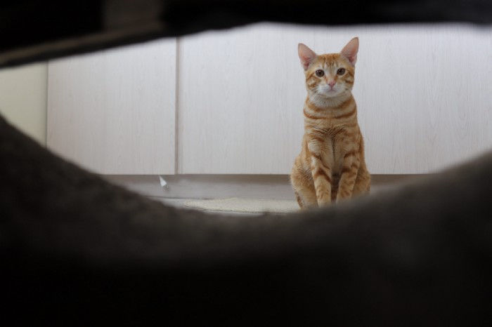 Photo Story — Quarantine with a Camera