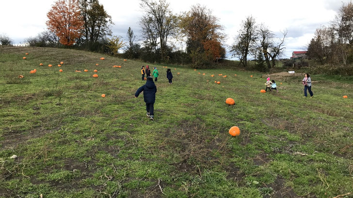 Field Trip!