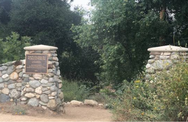 sp park nature.png