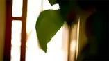 日常での商品利用シーンを映した通販紹介｜通販商品紹介動画制作会社