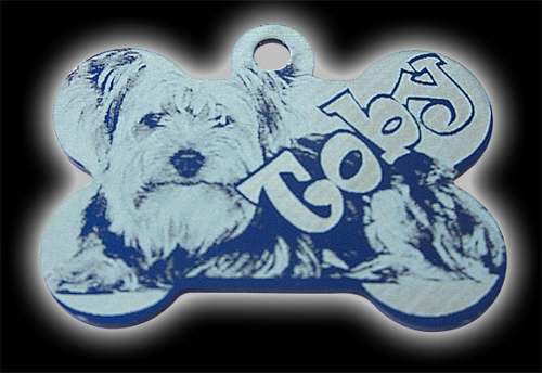 plaquita forma hueso foto