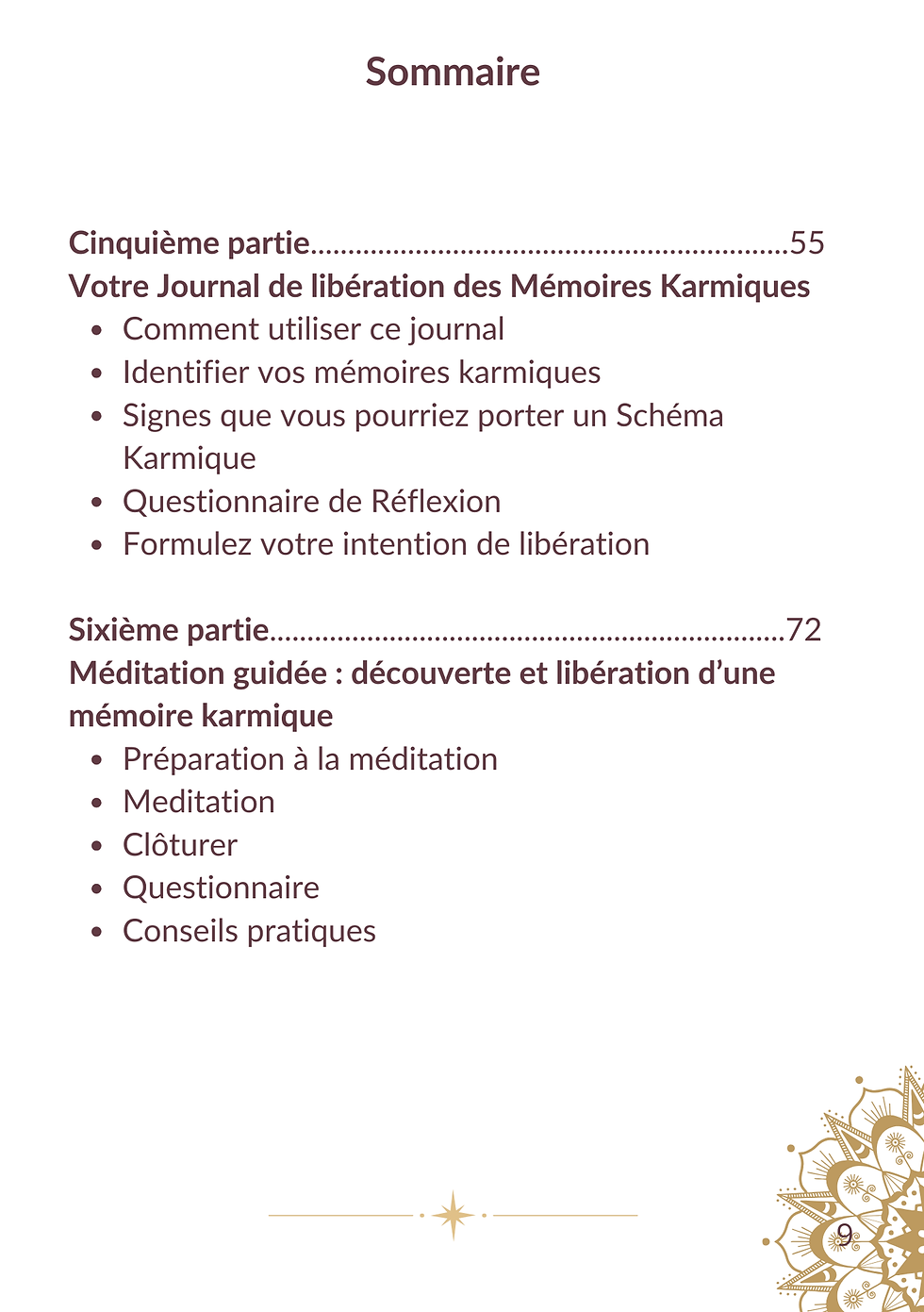 Miniature : Journal de liberation des mémoires karmiques