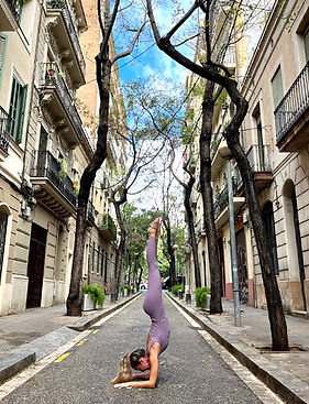 Novo Projeto (2)_edited.jpg