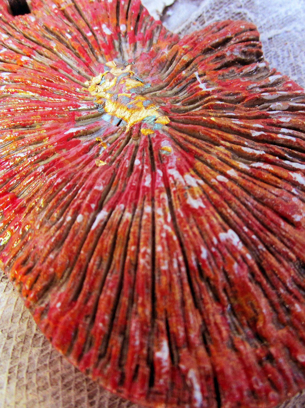 Thumbnail: ceramic red textured hamsa wall hanging.