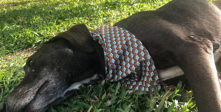 Bandana Paon
