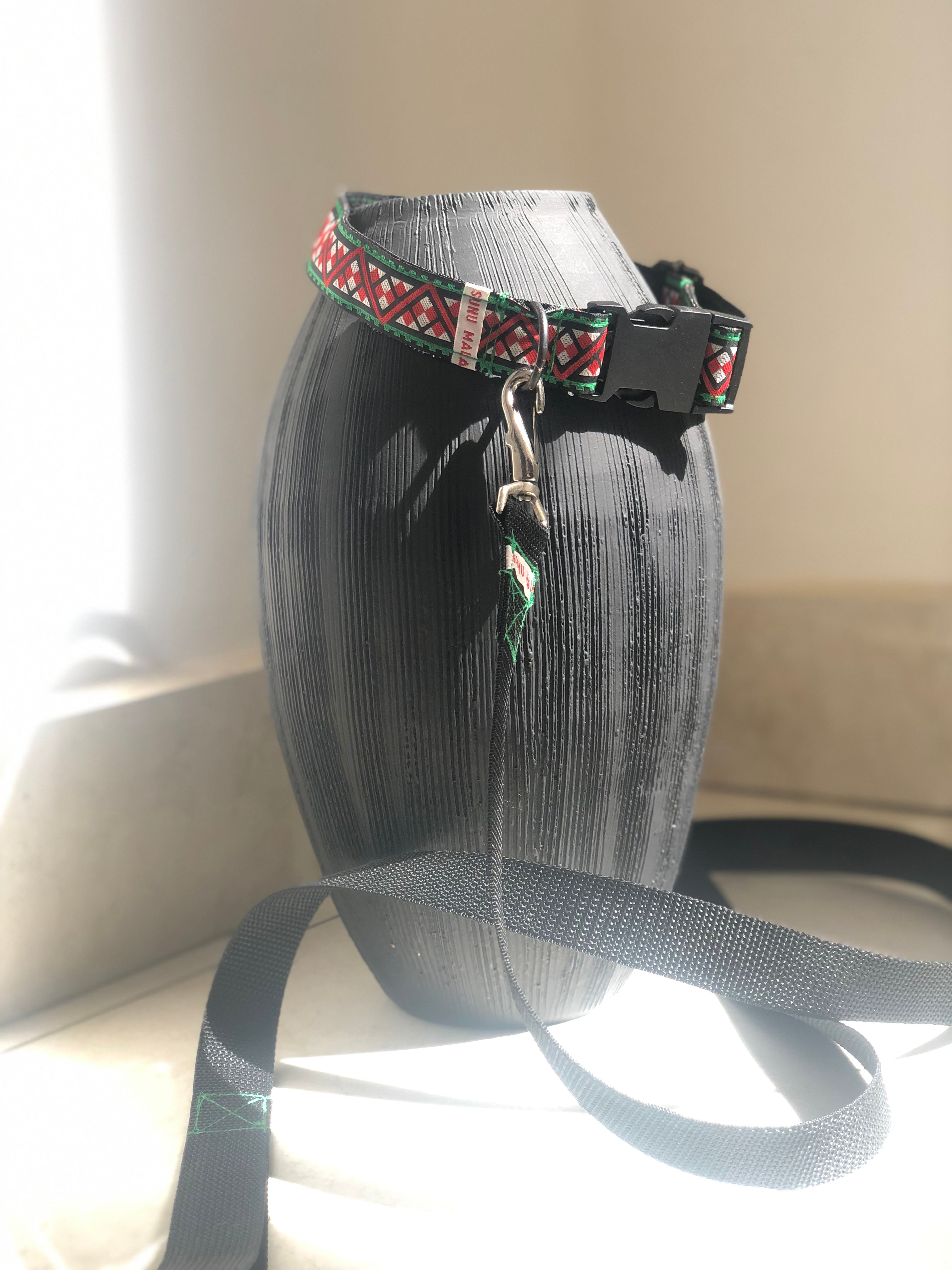 Collier et Laisse Emeraude (M)
