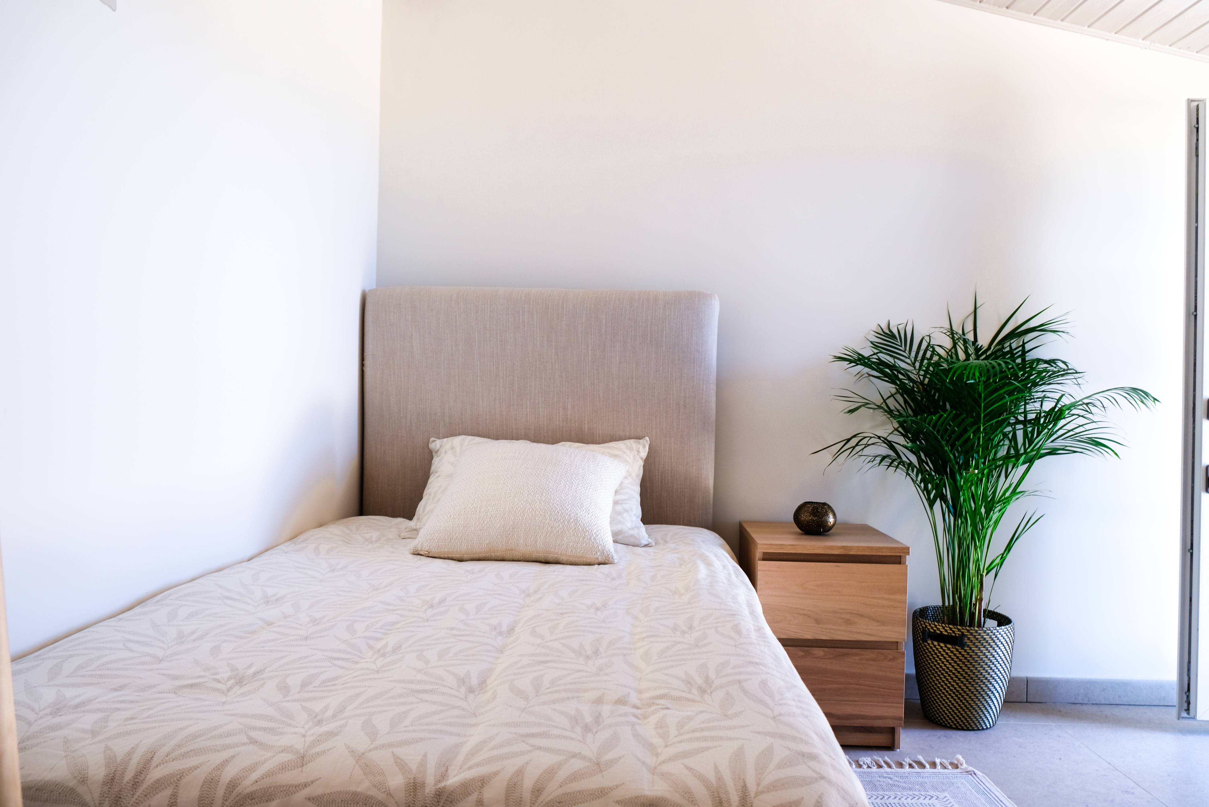 Sober Coliving as a Hospitality Model: The Quiet Premium Category