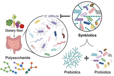 The impact of diet on pathogen-microbiota interactions