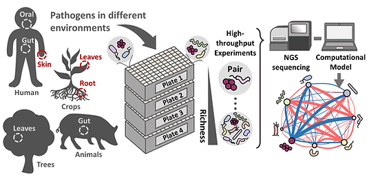 A general framework to study pathogen-microbiota interactions