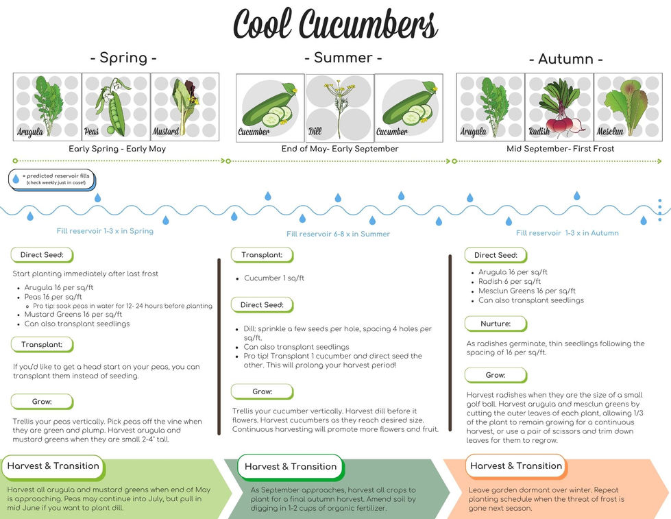 Cool Cucumbers